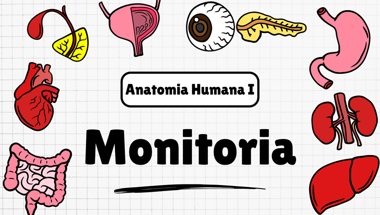 Edital Suplementar De Monitoria Nº 01/2025 - Campus de Parauapebas